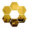 6PCS Gold